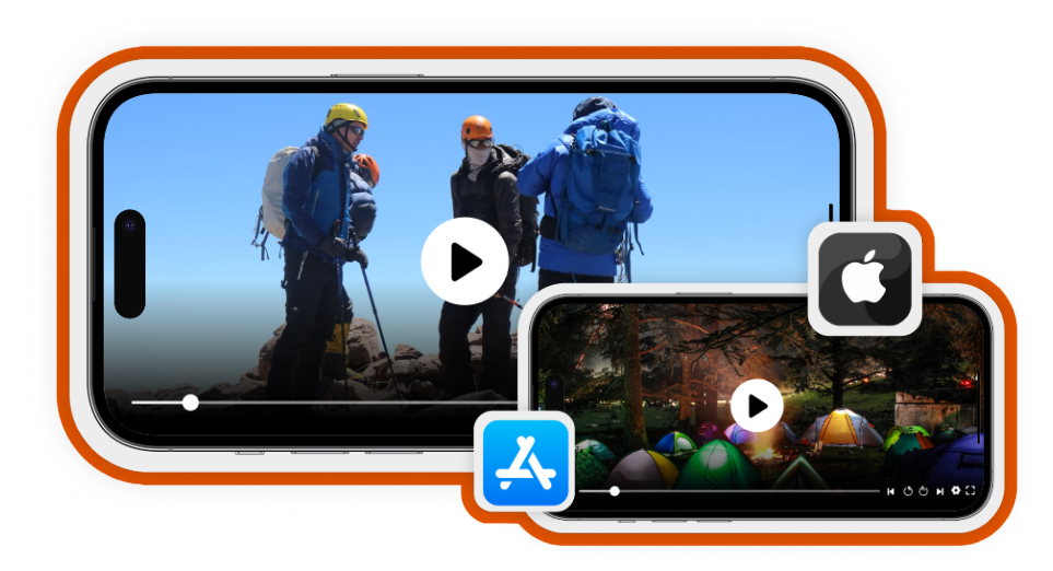 Download movies in hdo box